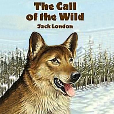 Buck; famous dog in movie, book, Call of the Wild