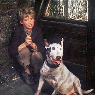 Bullseye; famous dog in movie, book, TV, Oliver Twist