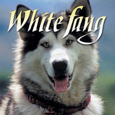 White Fang; famous dog in movie, book, TV, White Fang